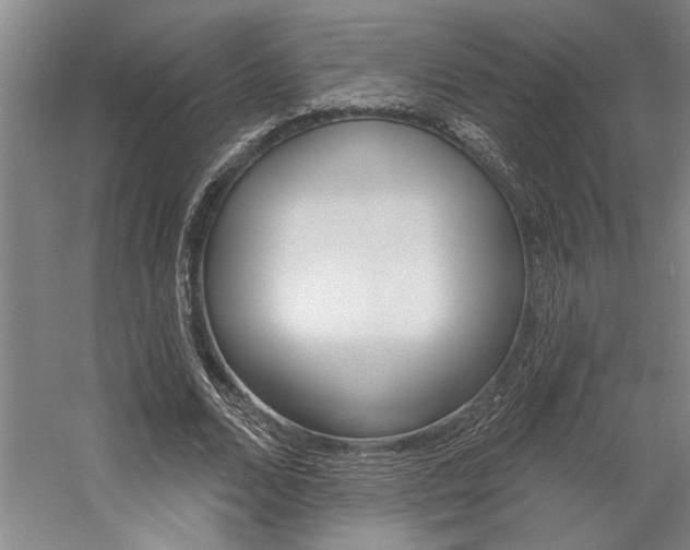 X0000059040680200510070825
