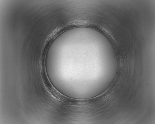 X0000059040682200510070825