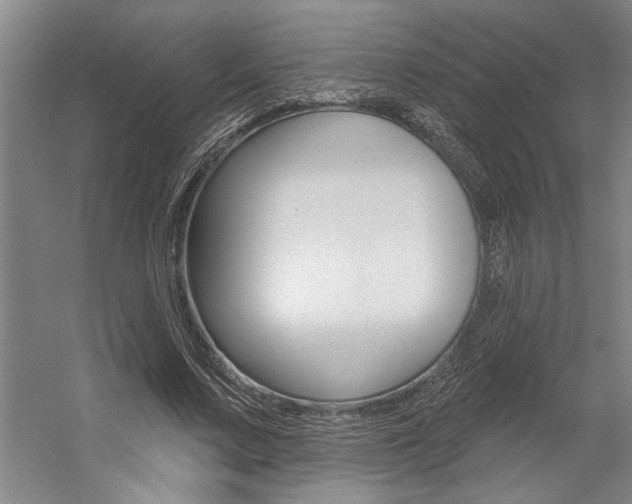X0000059040683200510070825