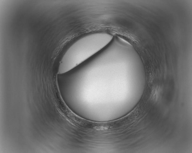 X0000059040687200510070825