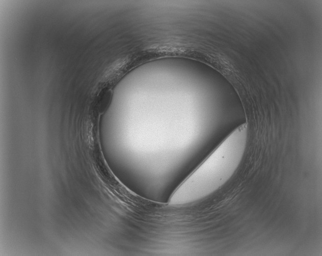 X0000059040692200510070825