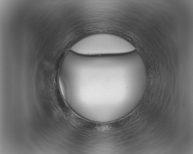 X0000059040695200510070825