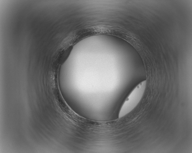 X0000059040696200510070825