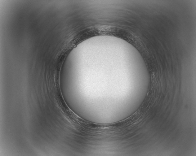X0000059040698200510070825
