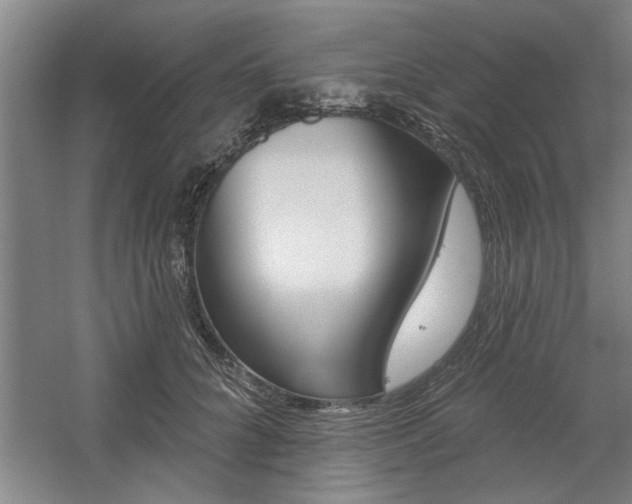 X0000059040704200510070825