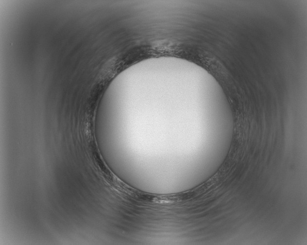 X0000059040706200510070825