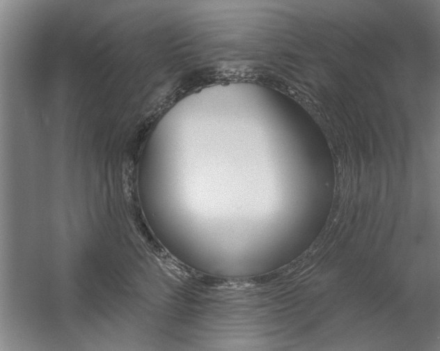 X0000059040712200510070825