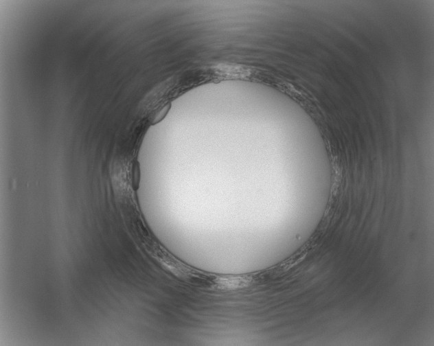 X0000059040713200510070825