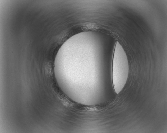 X0000059040715200510070825