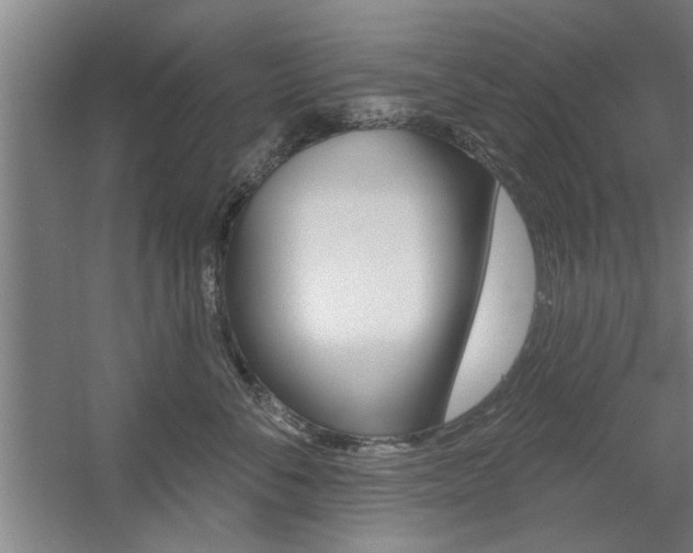 X0000059040716200510070825