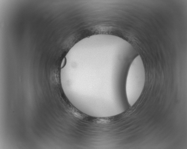 X0000059040718200510070825