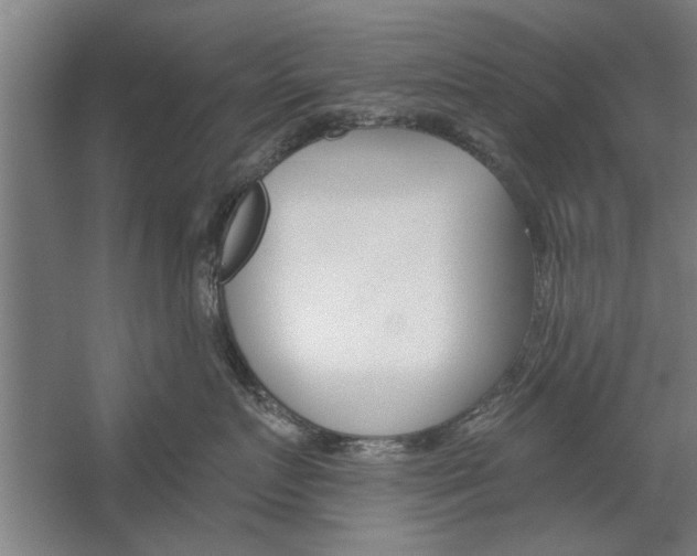 X0000059040719200510070825