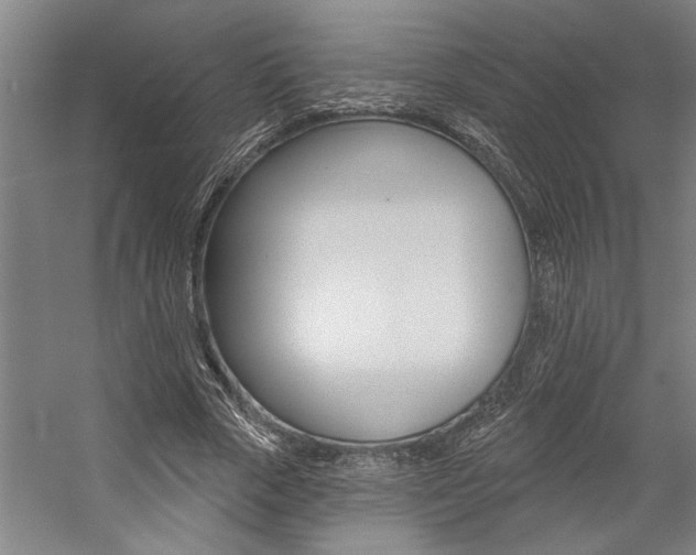 X0000059040729200510070824