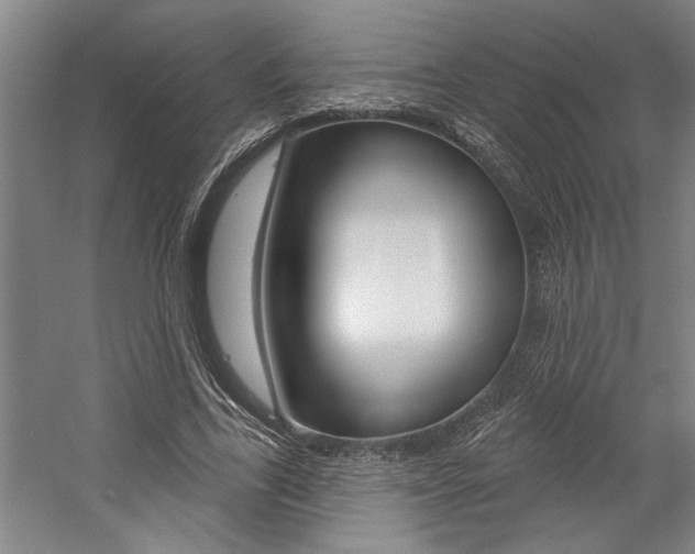 X0000059040731200510070824