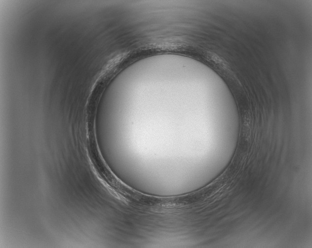 X0000059040734200510070824
