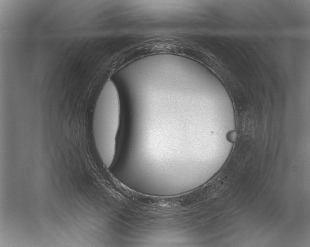 X0000059040737200510070824