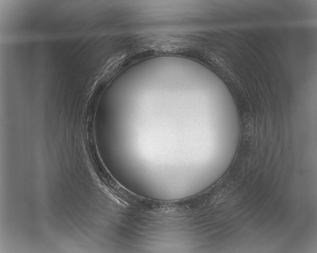 X0000059040738200510070824