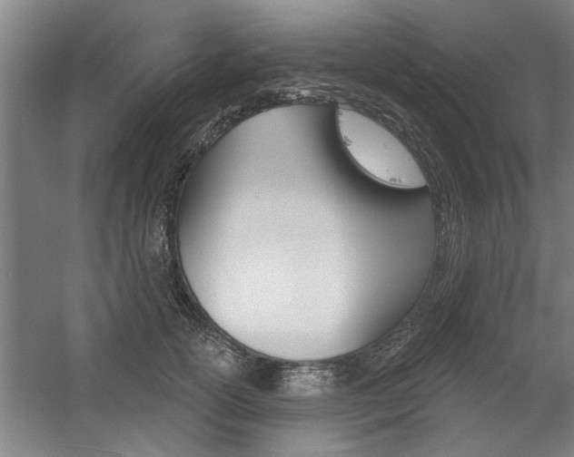 X0000059040754200510070825