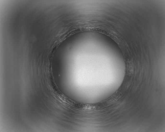X0000059040760200510070825