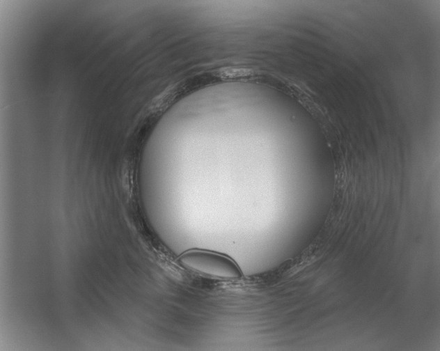 X0000059040763200510070825