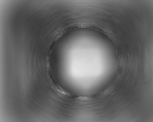 X0000059040766200510070825