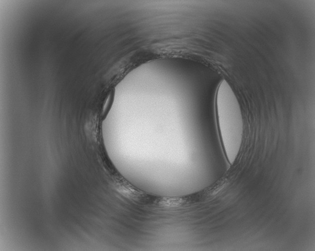 X0000059040767200510070825