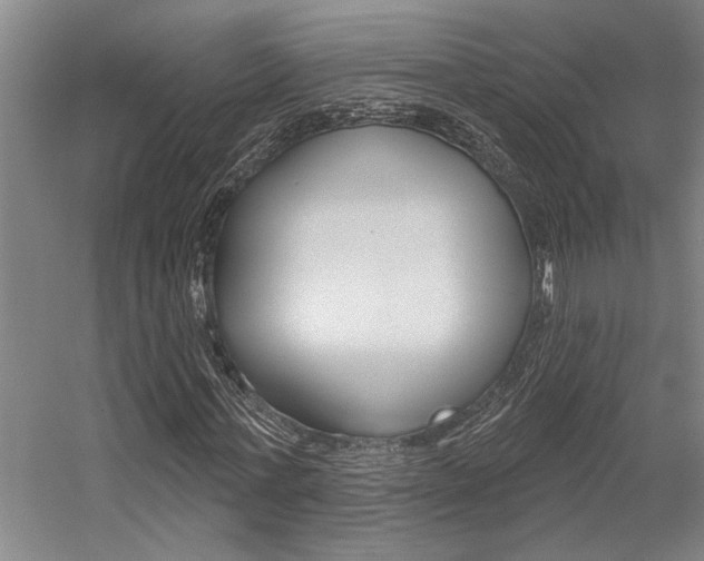 X0000059040771200510070824