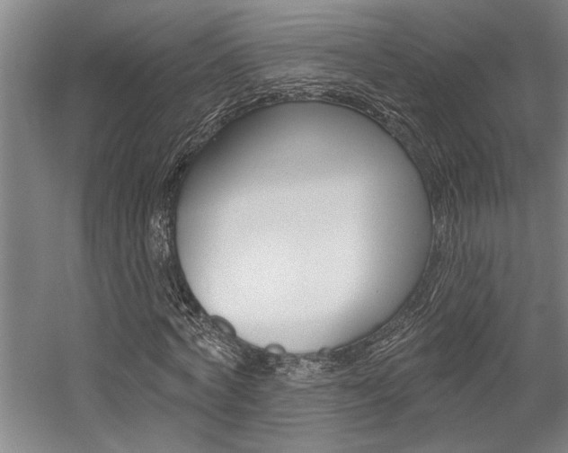 X0000059040772200510070824