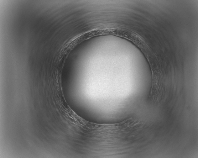 X0000059040773200510070824