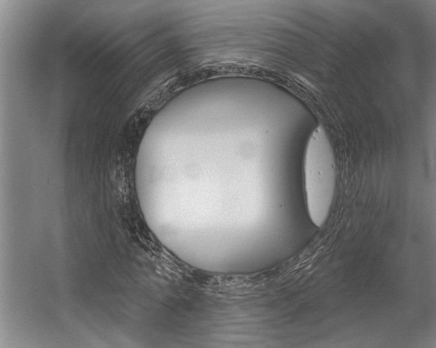 X0000059040774200510070824