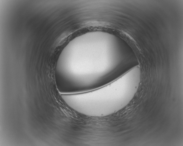 X0000059040775200510070824