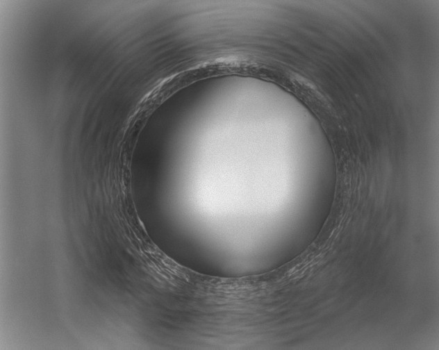 X0000059040776200510070824