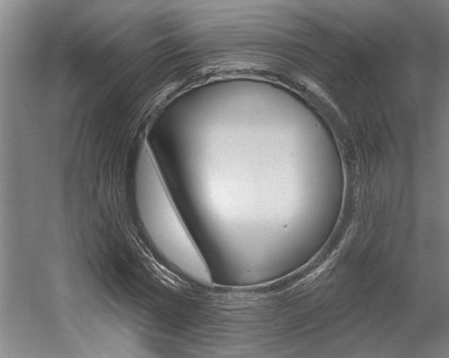 X0000059040777200510070824