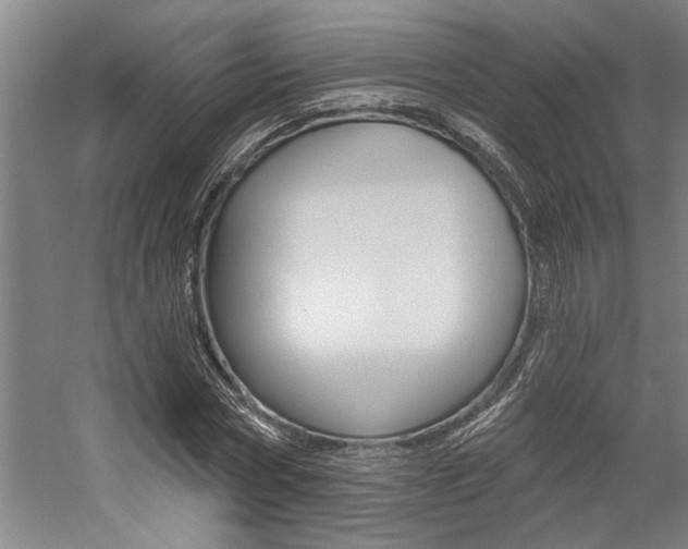 X0000059040778200510070824