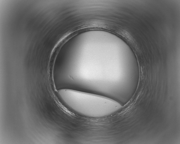 X0000059040780200510070824