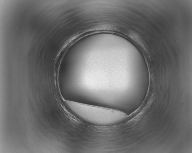 X0000059040781200510070824