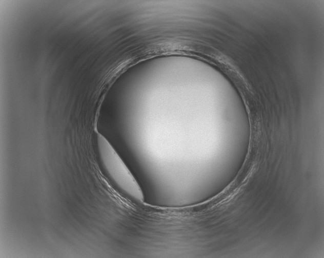X0000059040785200510070824
