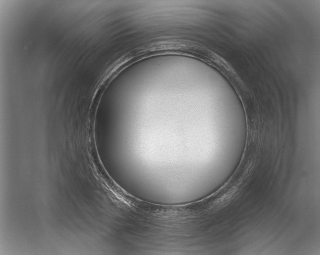 X0000059040786200510070824