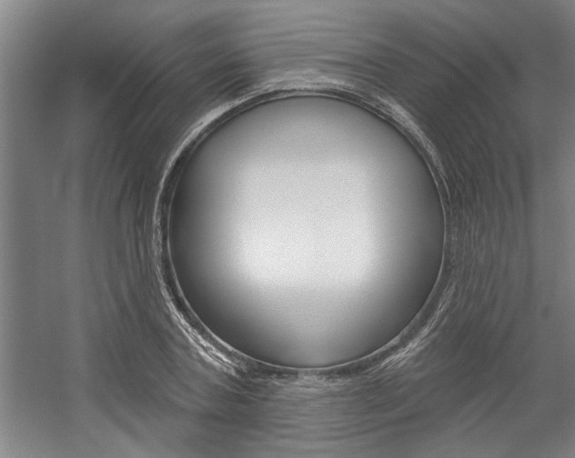 X0000059040787200510070824