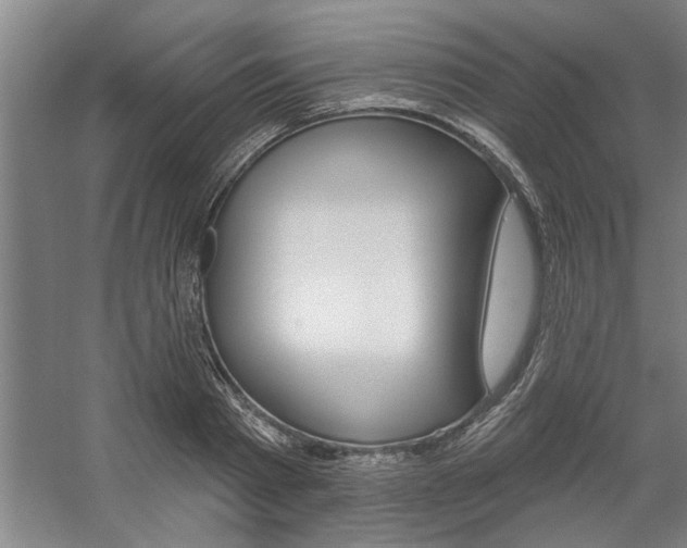 X0000059040793200510070824