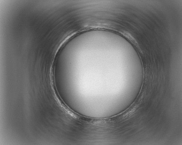 X0000059040798200510070823