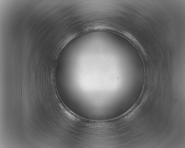 X0000059040801200510070823
