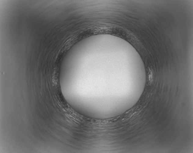 X0000059040819200510070822