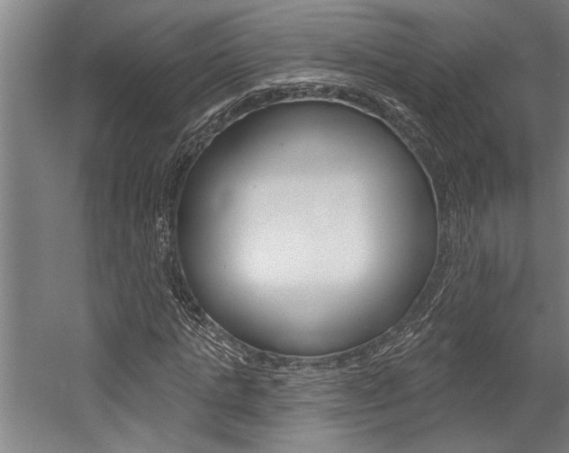 X0000059040821200510070822