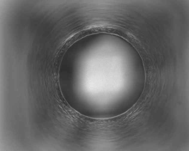 X0000059040822200510070822