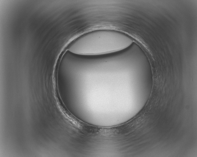 X0000059040840200510070823