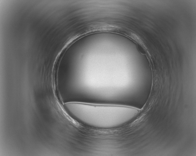 X0000059040843200510070823
