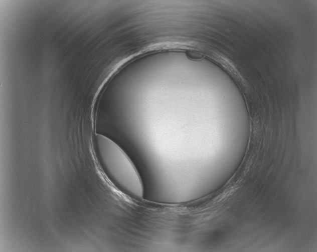 X0000059040844200510070823