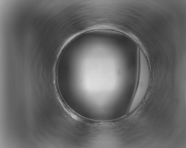 X0000059040862200510070823