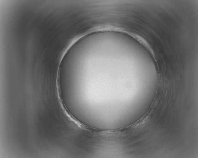 X0000059040863200510070823